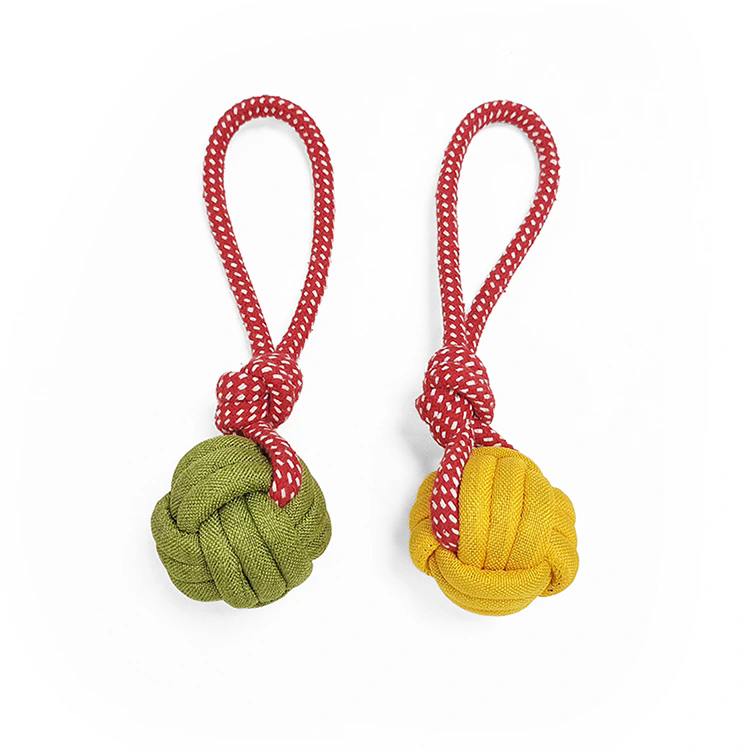 Vad gör Leksaker i bomullsrep till framtiden för säker och hållbar husdjurslek?